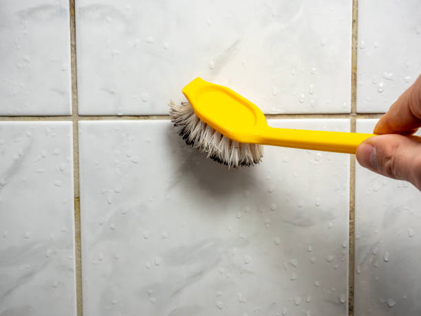 Best Commercial Mold Removal  in Fox Lake, IL