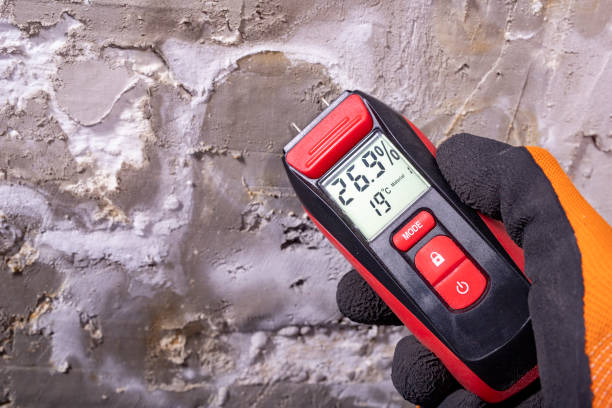 Fox Lake, IL Mold Removal Company